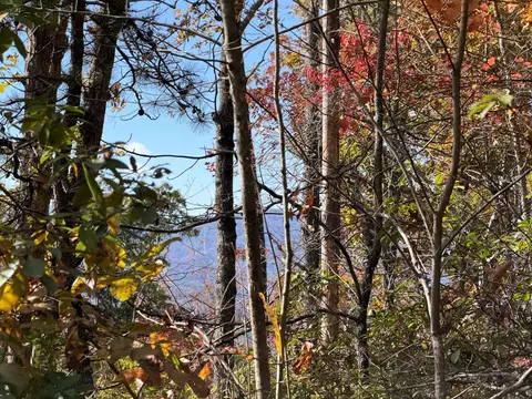 lot4 Piney Grove Rd, Franklin, NC 28734