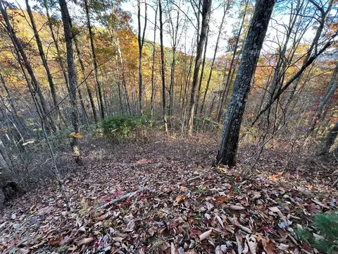 lot66 Musket Dr, Almond, NC 28702