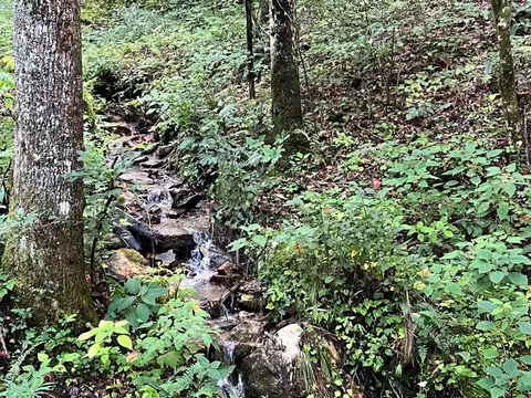 00 Battle Branch Rd, Bryson City, NC 28713