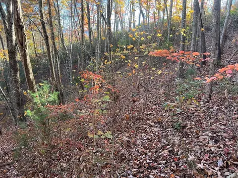 lot7 Deer Ridge Rd, Bryson City, NC 28713