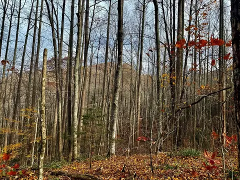 0 Henry Rd, Franklin, NC 28734