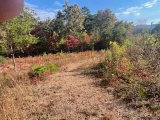 lot5 Jay Bird Trl, Franklin, NC 28734