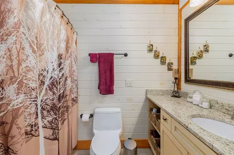 Bath - 151 Diamond Falls Blvd, Franklin, NC 28734 photo 4 of 5