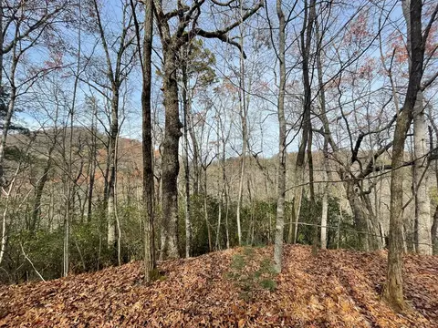 0 Mountain Laurel Rd, Robbinsville Graham, NC 28771