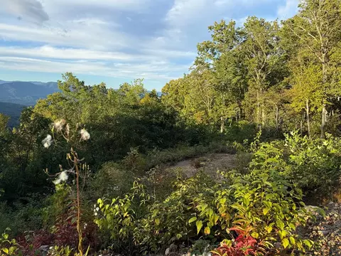 585 Cardinal Bluff Dr, Whittier, NC 28789