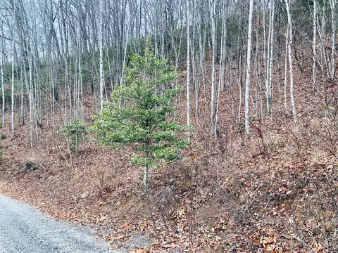 Lt 1sec5 Parchment Ln, Sylva, NC 28779 photo 4