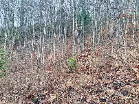 Lt 1sec5 Parchment Ln, Sylva, NC 28779 photo 6
