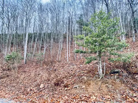 Lt 1sec5 Parchment Ln, Sylva, NC 28779 photo 8