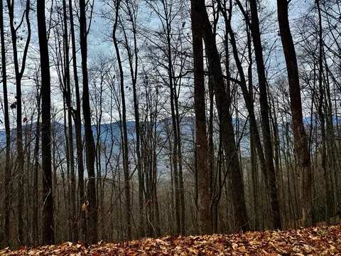 Undisclosed, Whittier, NC 28789