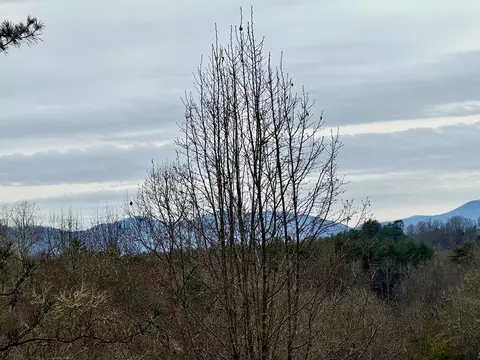 534 Porter Creek Rd, Franklin, NC 28734