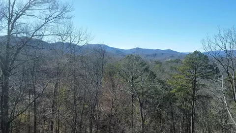 000 Hornet, Whittier, NC 28789