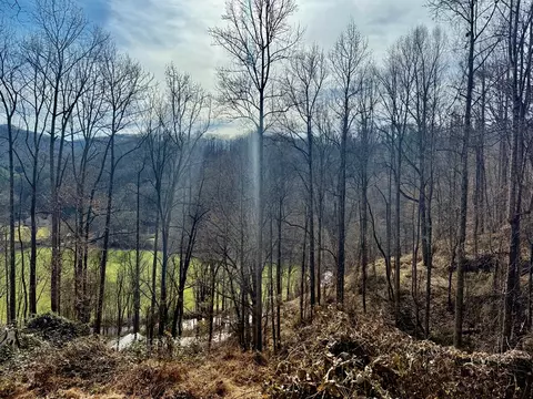 View/Area - 6175 Skyland Dr, Sylva, NC 28779 photo 2 of 16