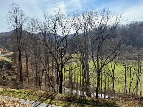 Other - 6175 Skyland Dr, Sylva, NC 28779 photo 3 of 24