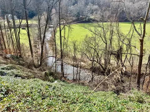 View/Area - 6175 Skyland Dr, Sylva, NC 28779 photo 3 of 16