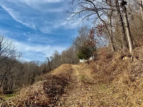 Exterior - 6175 Skyland Dr, Sylva, NC 28779 photo 4 of 17