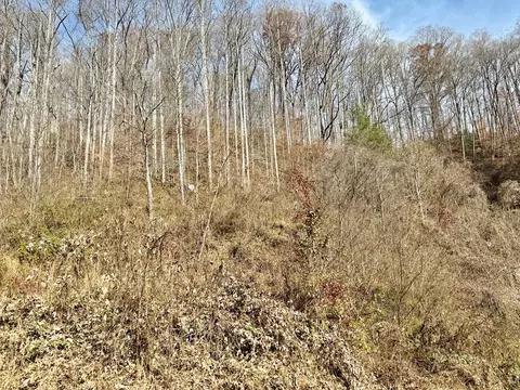 Other - 6175 Skyland Dr, Sylva, NC 28779 photo 13 of 24