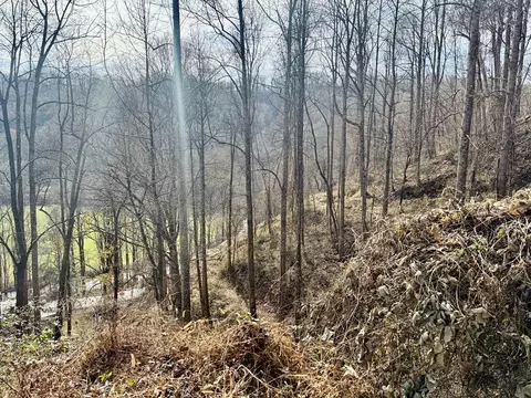 Other - 6175 Skyland Dr, Sylva, NC 28779 photo 16 of 24