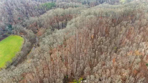 Other - 6175 Skyland Dr, Sylva, NC 28779 photo 18 of 24