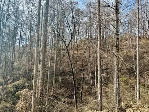 Other - 6175 Skyland Dr, Sylva, NC 28779 photo 14 of 24