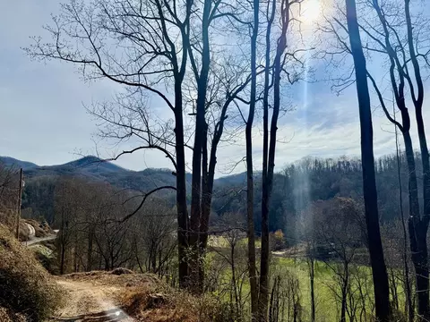 Other - 6175 Skyland Dr, Sylva, NC 28779 photo 5 of 24