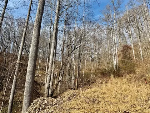 Exterior - 6175 Skyland Dr, Sylva, NC 28779 photo 16 of 17