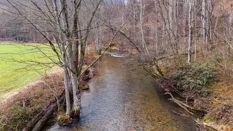 View/Area - 6175 Skyland Dr, Sylva, NC 28779 photo 9 of 16