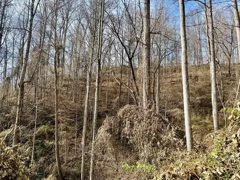 Other - 6175 Skyland Dr, Sylva, NC 28779 photo 15 of 24