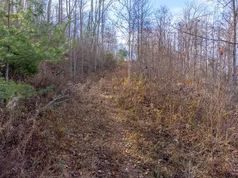 00 Garnet Ridge Preserve, Sylva, NC 28779 photo 20