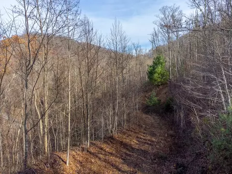 00 Garnet Ridge Preserve, Sylva, NC 28779 photo 22