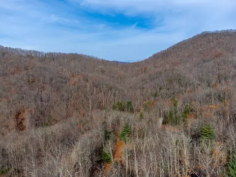 00 Garnet Ridge Preserve, Sylva, NC 28779 photo 38
