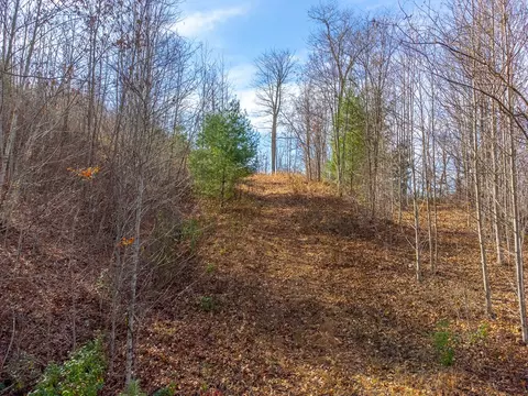 00 Garnet Ridge Preserve, Sylva, NC 28779 photo 21