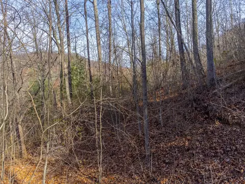 00 Garnet Ridge Preserve, Sylva, NC 28779 photo 17
