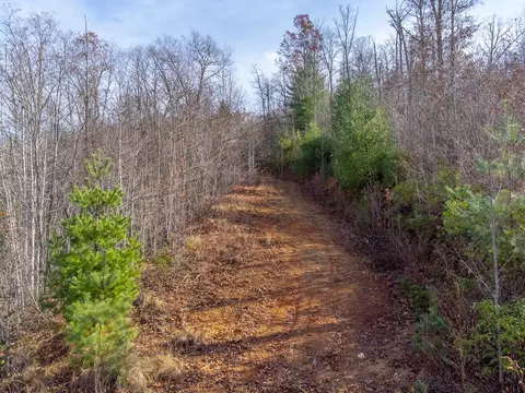 00 Garnet Ridge Preserve, Sylva, NC 28779 photo 24