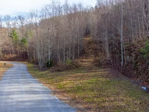 00 Garnet Ridge Preserve, Sylva, NC 28779 photo 2
