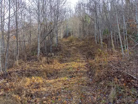 00 Garnet Ridge Preserve, Sylva, NC 28779 photo 13