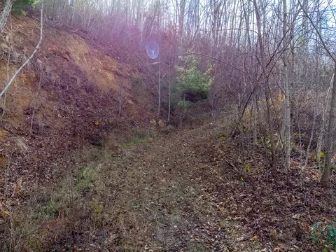 00 Garnet Ridge Preserve, Sylva, NC 28779 photo 18