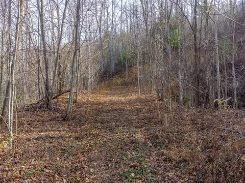 00 Garnet Ridge Preserve, Sylva, NC 28779 photo 14