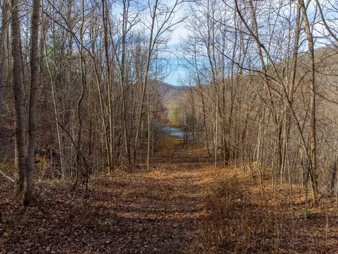 00 Garnet Ridge Preserve, Sylva, NC 28779 photo 19