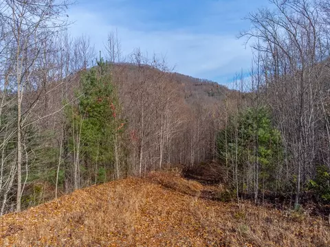00 Garnet Ridge Preserve, Sylva, NC 28779 photo 23