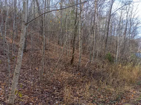 00 Garnet Ridge Preserve, Sylva, NC 28779 photo 16