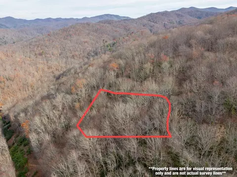 lot5 Mt Tabor Rd, Topton, NC 28781
