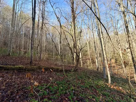 000 Genesis Trail Dr, Sylva, NC 28779 photo 8