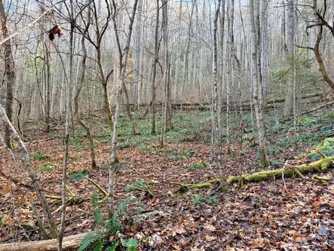 000 Genesis Trail Dr, Sylva, NC 28779 photo 15