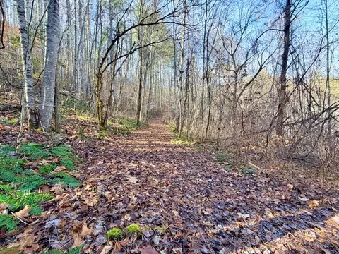 000 Genesis Trail Dr, Sylva, NC 28779 photo 11