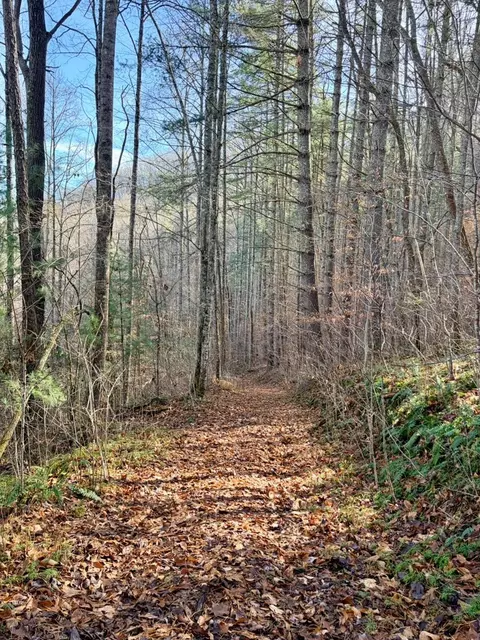 000 Genesis Trail Dr, Sylva, NC 28779 photo 14