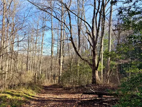 000 Genesis Trail Dr, Sylva, NC 28779 photo 5