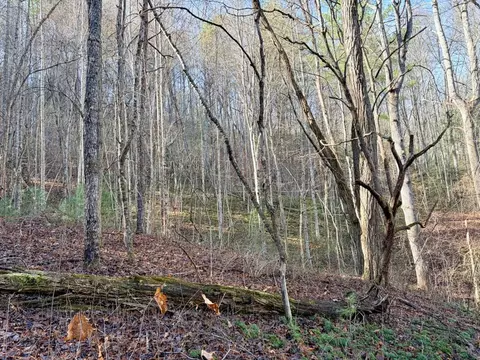 000 Genesis Trail Dr, Sylva, NC 28779 photo 7