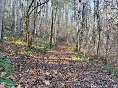 000 Genesis Trail Dr, Sylva, NC 28779 photo 10