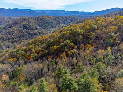 000 Genesis Trail Dr, Sylva, NC 28779 photo 19