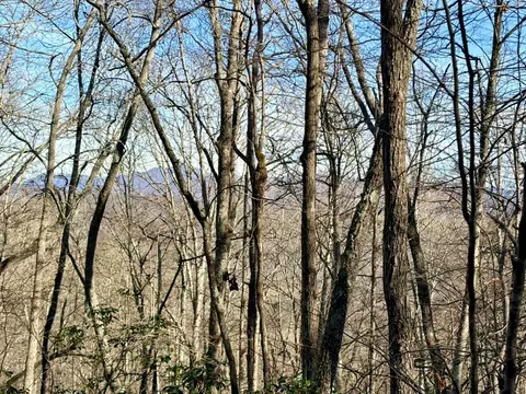 000 Genesis Trail Dr, Sylva, NC 28779 photo 12